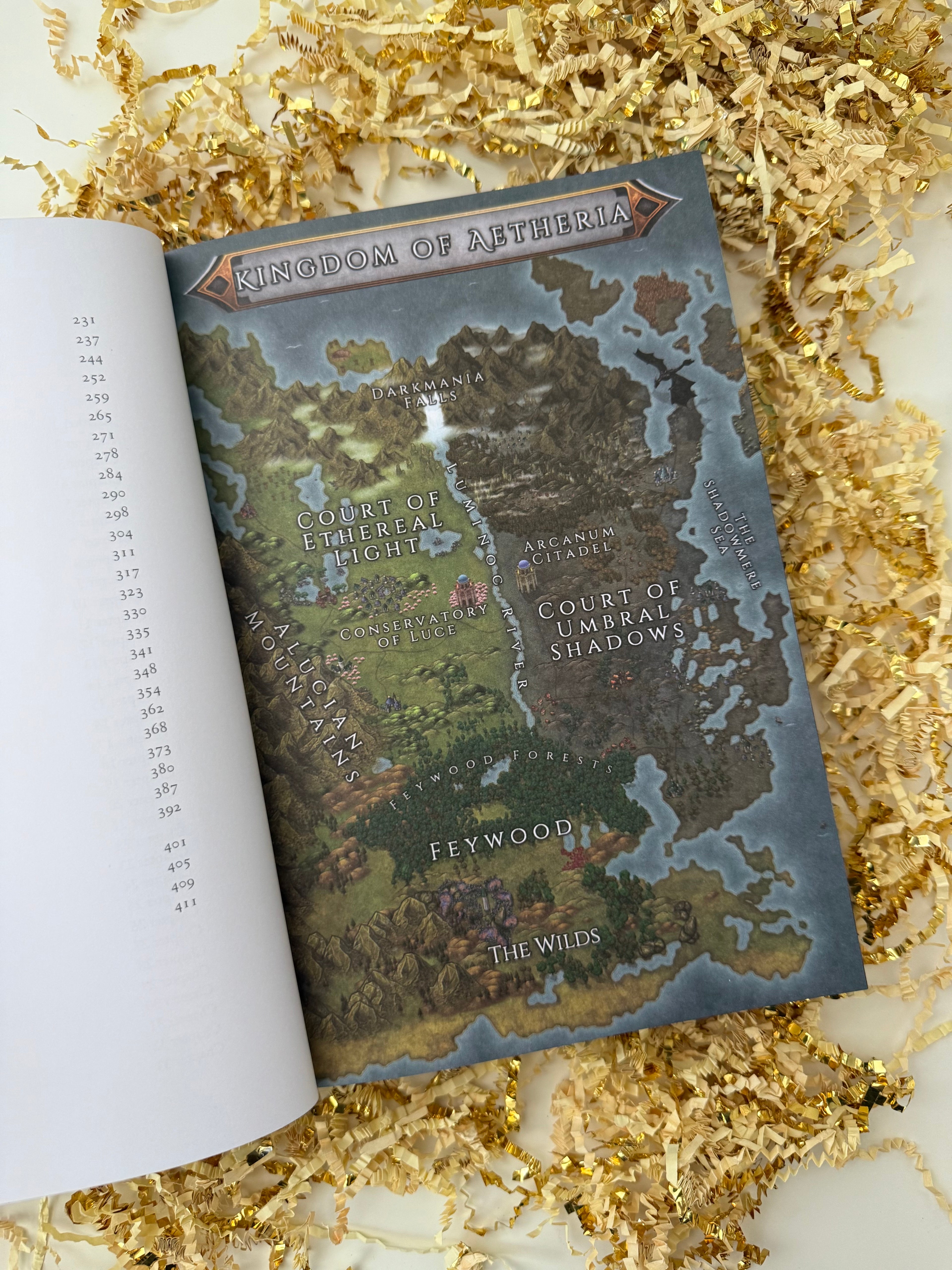 Crown of Light and Shadows (Courts of Aetheria, Book 1) Special Edition