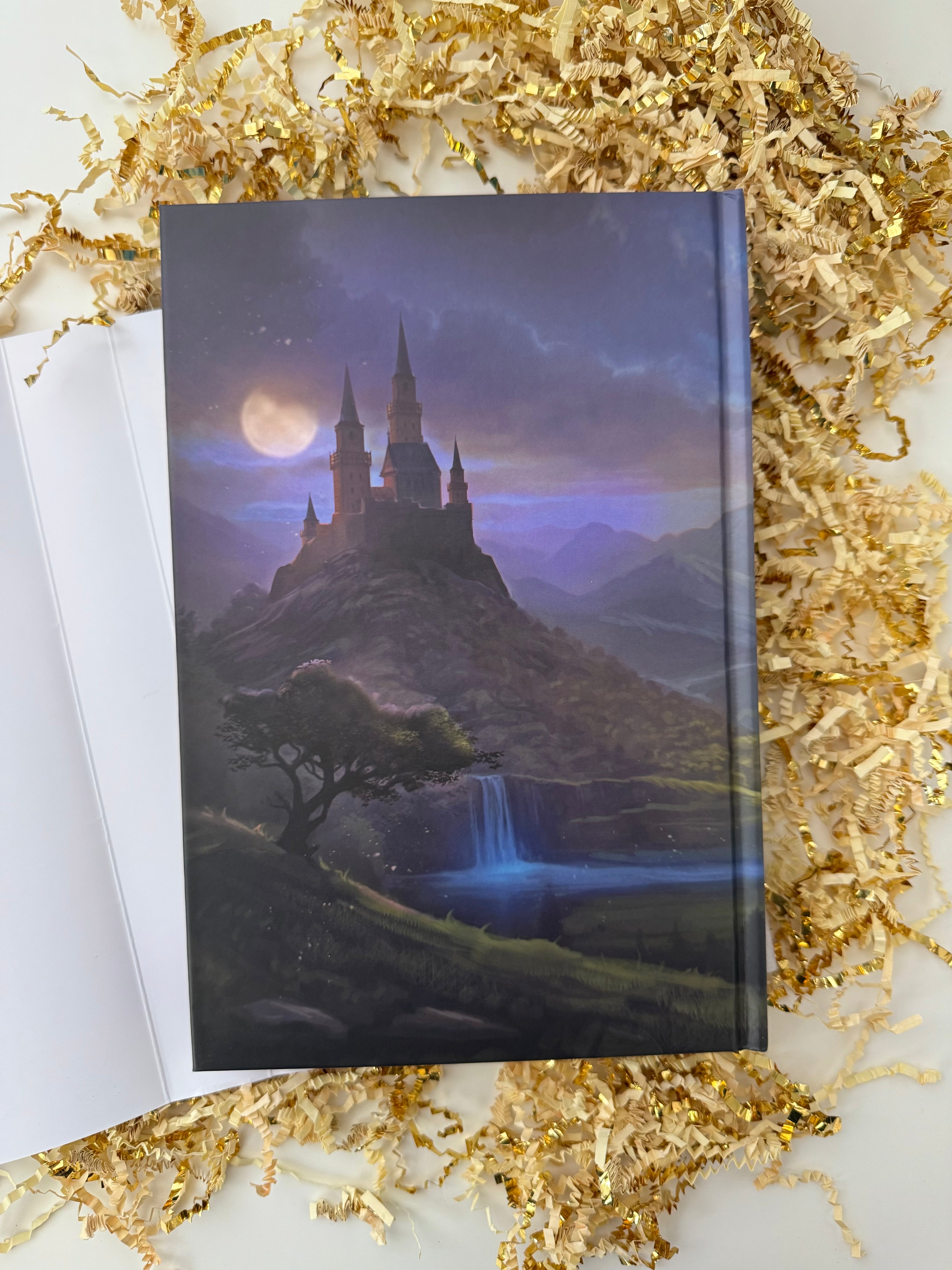 Crown of Light and Shadows (Courts of Aetheria, Book 1) Special Edition