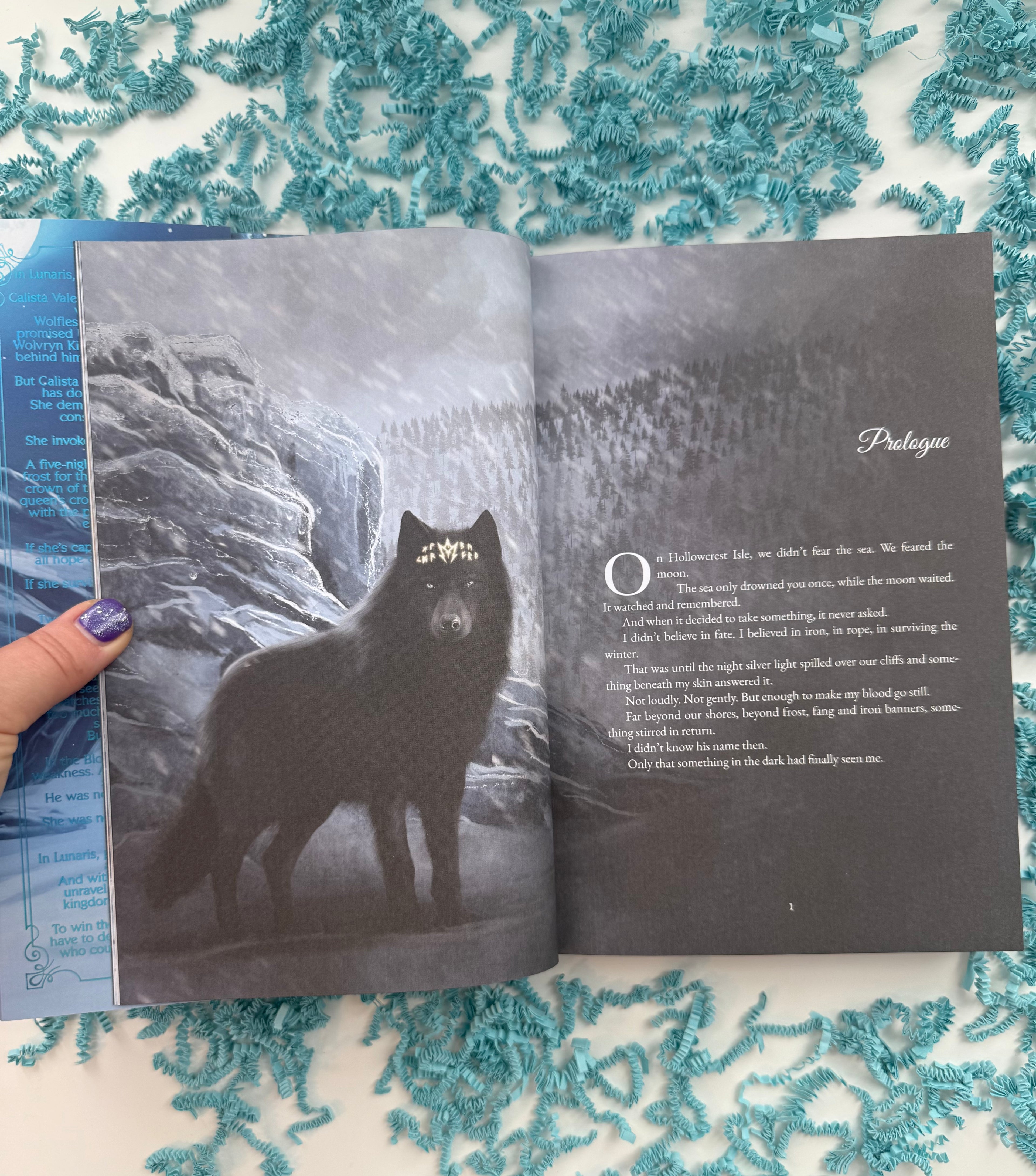 King of Fangs and Frost (The Wolvryn Courts, Book 1) Special Edition