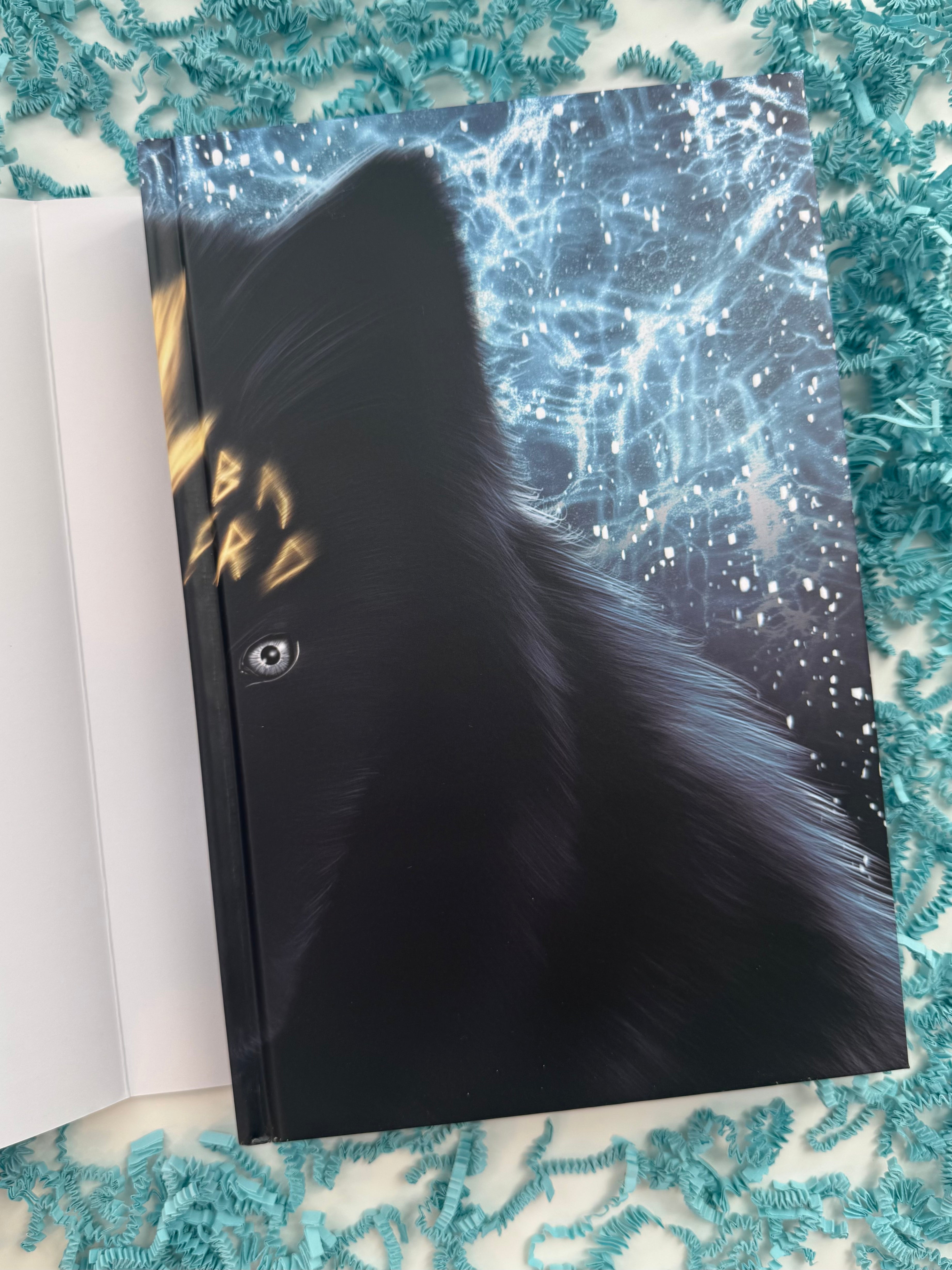King of Fangs and Frost (The Wolvryn Courts, Book 1) Special Edition