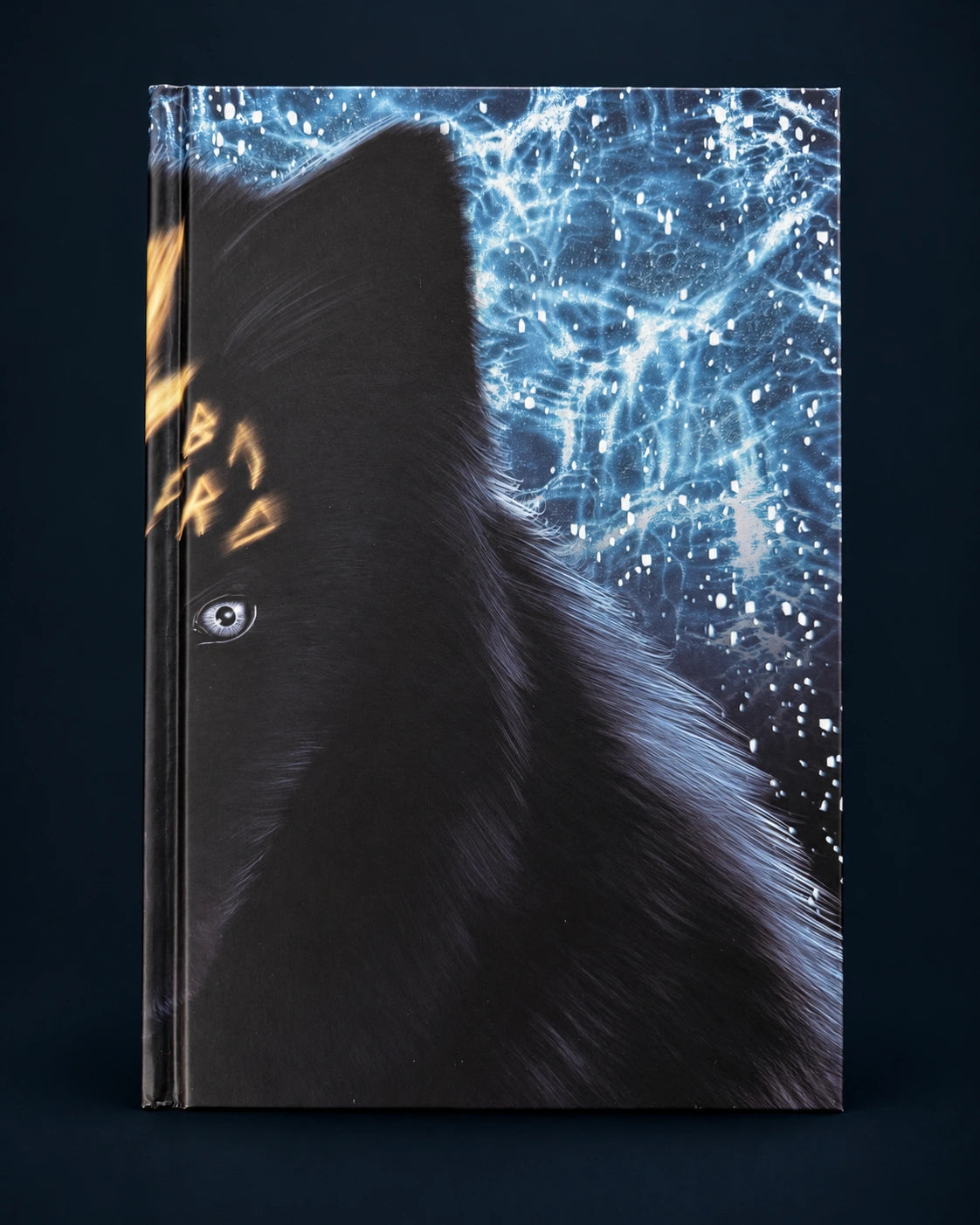 Illustrated hard cover