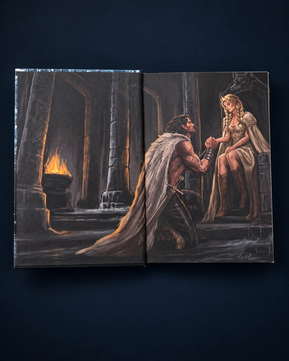 Illustrated endpapers